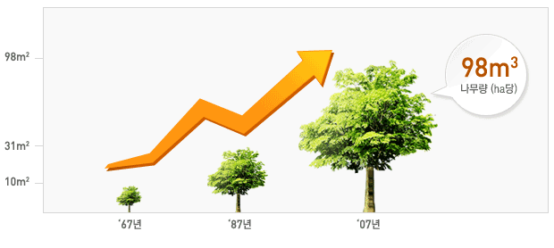 1967년도 황폐했던 숲이 2007년도에 울창하고 아름다운 숲이 조성되기까지의 ha당 나무량에대한 정보입니다. 1967년 10㎡, 1987년 31㎡, 2007년 98㎡의 나무량입니다.