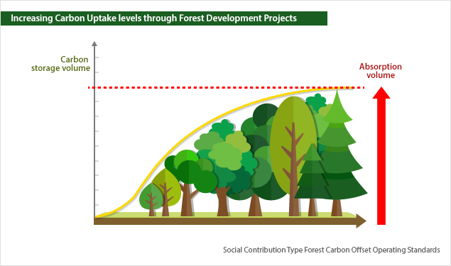 Increasing Carbon Uptake levels (Carbon Storage) through Forest Development Projects.