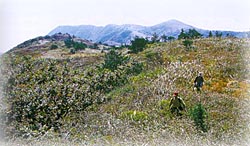 삼비산_1