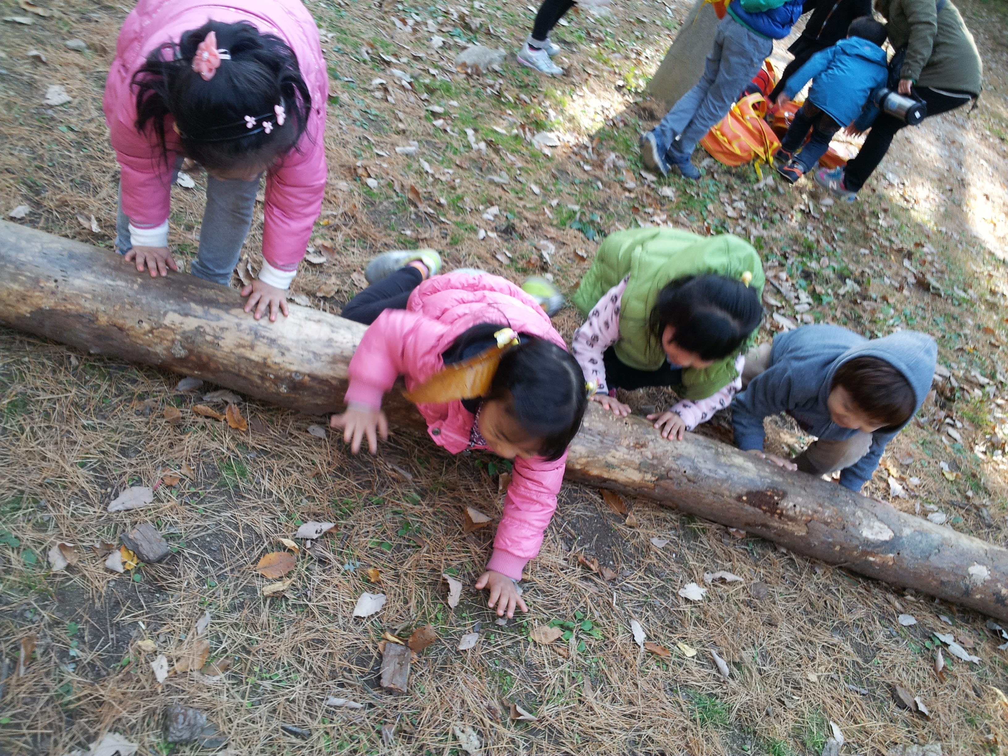 2012 숲 유치원 마무리