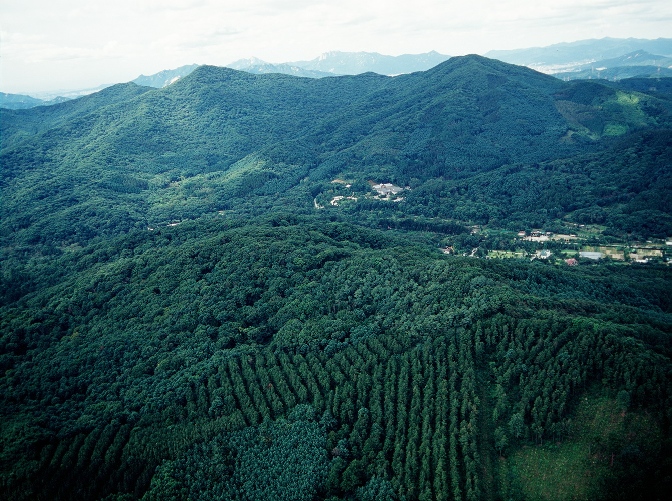 민통선지역 불법 입목벌채·산림훼손 현저히 감소