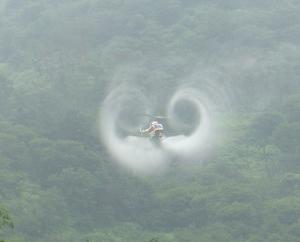 소나무재선충병 박멸을 위해 헬기가 떴다. 이미지1