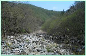 산림수계 관리를 위한 「유역통합관리시스템」도입 이미지1