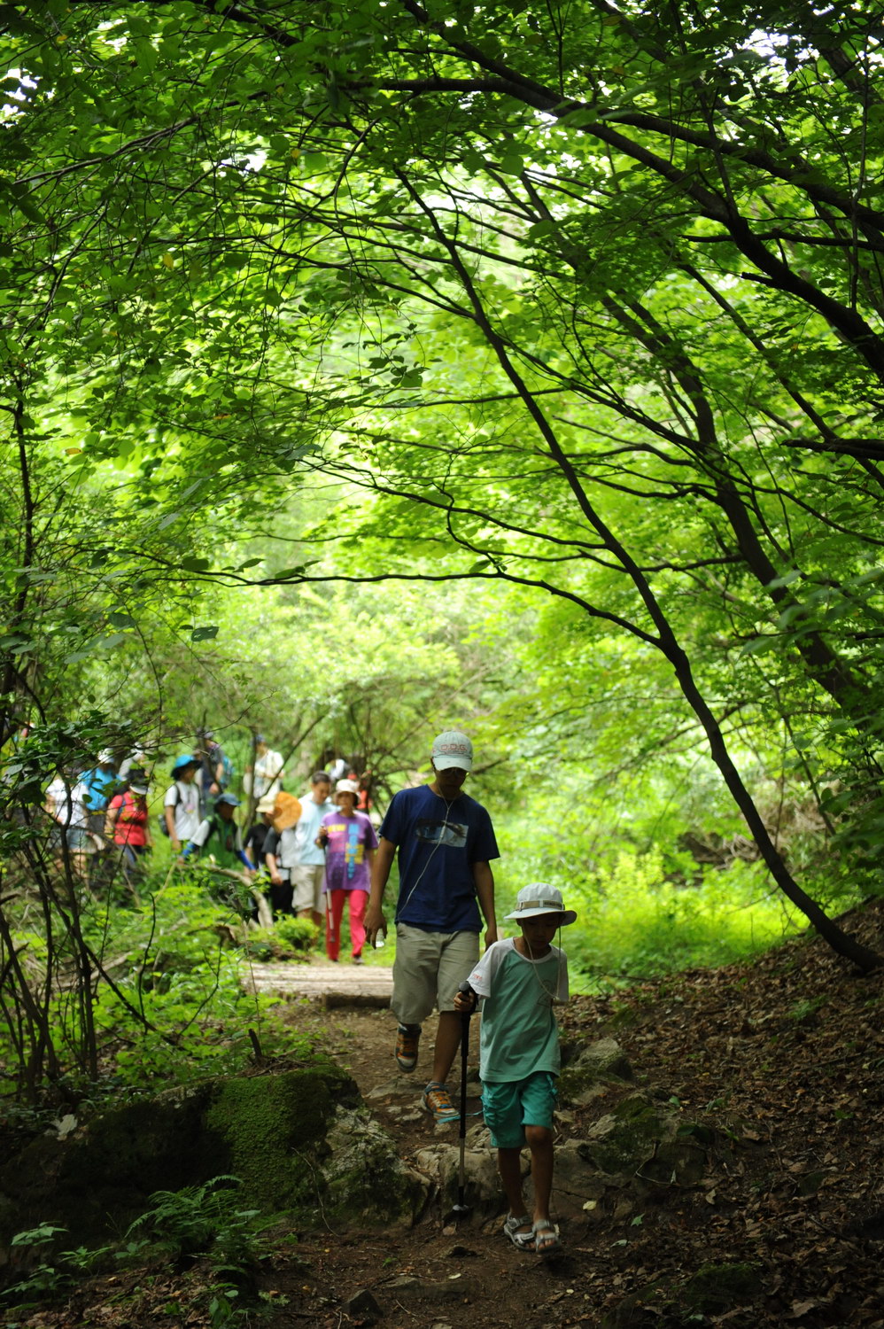 걷고싶은 숲길 인기! 산림생태에다 문화·역사까지 체험 이미지2