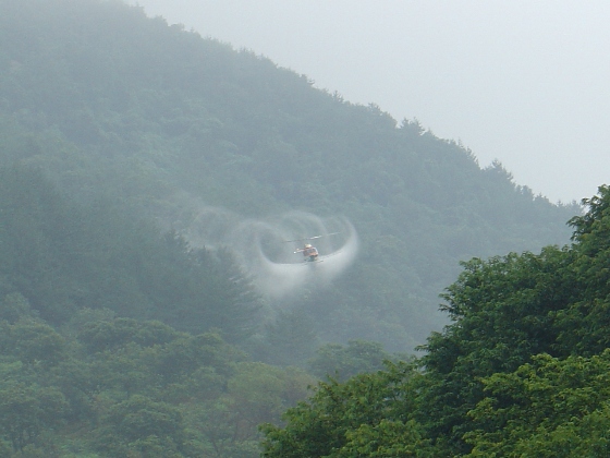 산림청 헬기 소나무재선충병 확산방지에 나선다. 