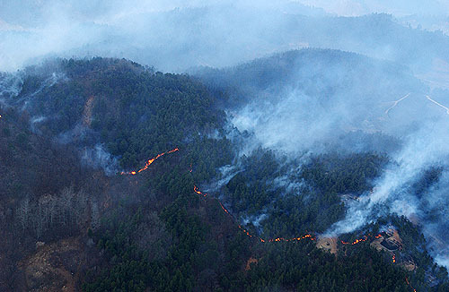 계룡산에 산불, 산림청 헬기 5대 투입 진화 중 이미지1