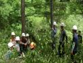 안전사고 없는 산림 사업장 만든다