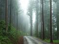 산림선진국 오스트리아와 산림기술 교류약속