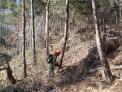 산림사업장 안전사고 발생위험 증가