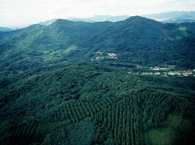 우리나라 우수 산림관리 기술 인도네시아에 전수 추진 이미지1