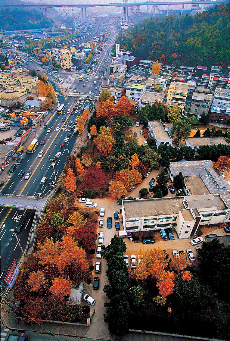 한국의 도시숲 조성 기술 알제리에 전수 이미지1