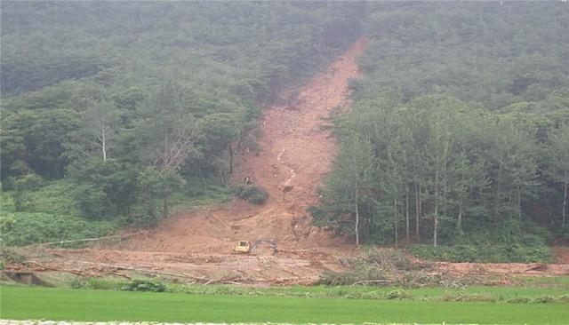 2013년 산림분야 자연재난 복구비용 산정 기준 확정 이미지1