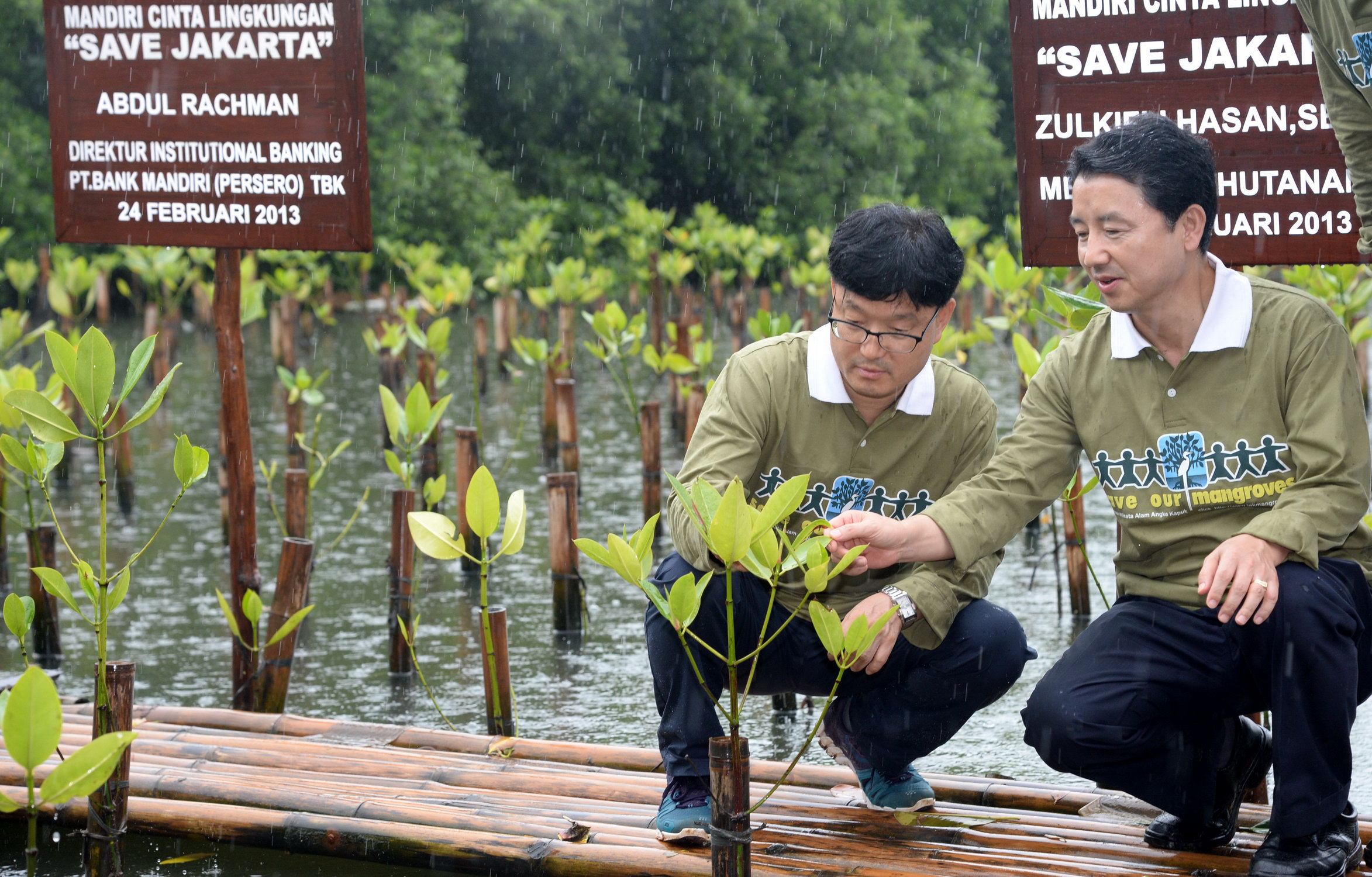 인도네시아에서 망그로브 숲 보전을 위한 나무심기 이미지1