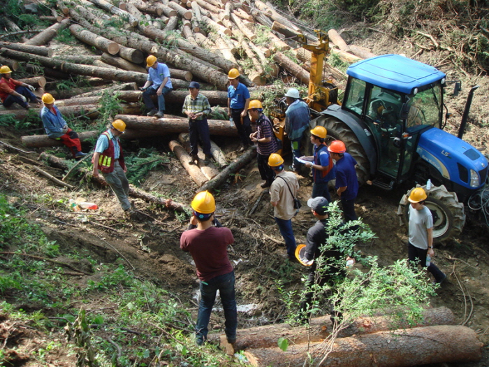 국내 산림 바이오매스산업, 새 숨 불어넣기 이미지1