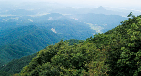 산림청, 100대 명산 및 등산로 정보 개방 이미지1