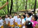 아이들을 키우는 푸른 교실, 숲에서 배워요!