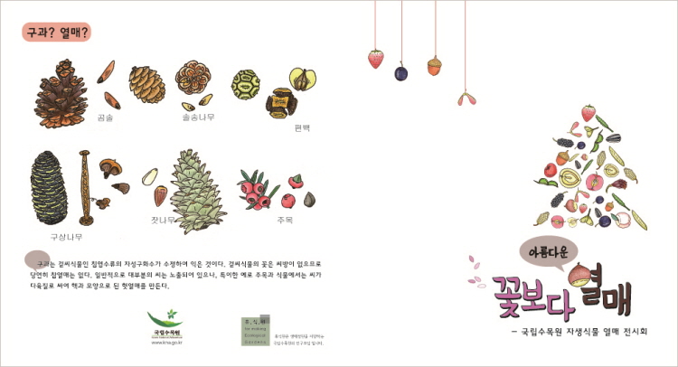 국립수목원, 자생식물 열매전시회 개최 이미지2