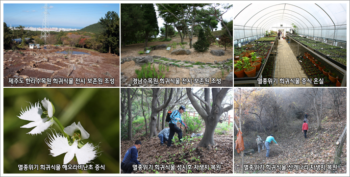 국립수목원,  희귀식물 보전·복원 위한 세미나 개최 이미지1