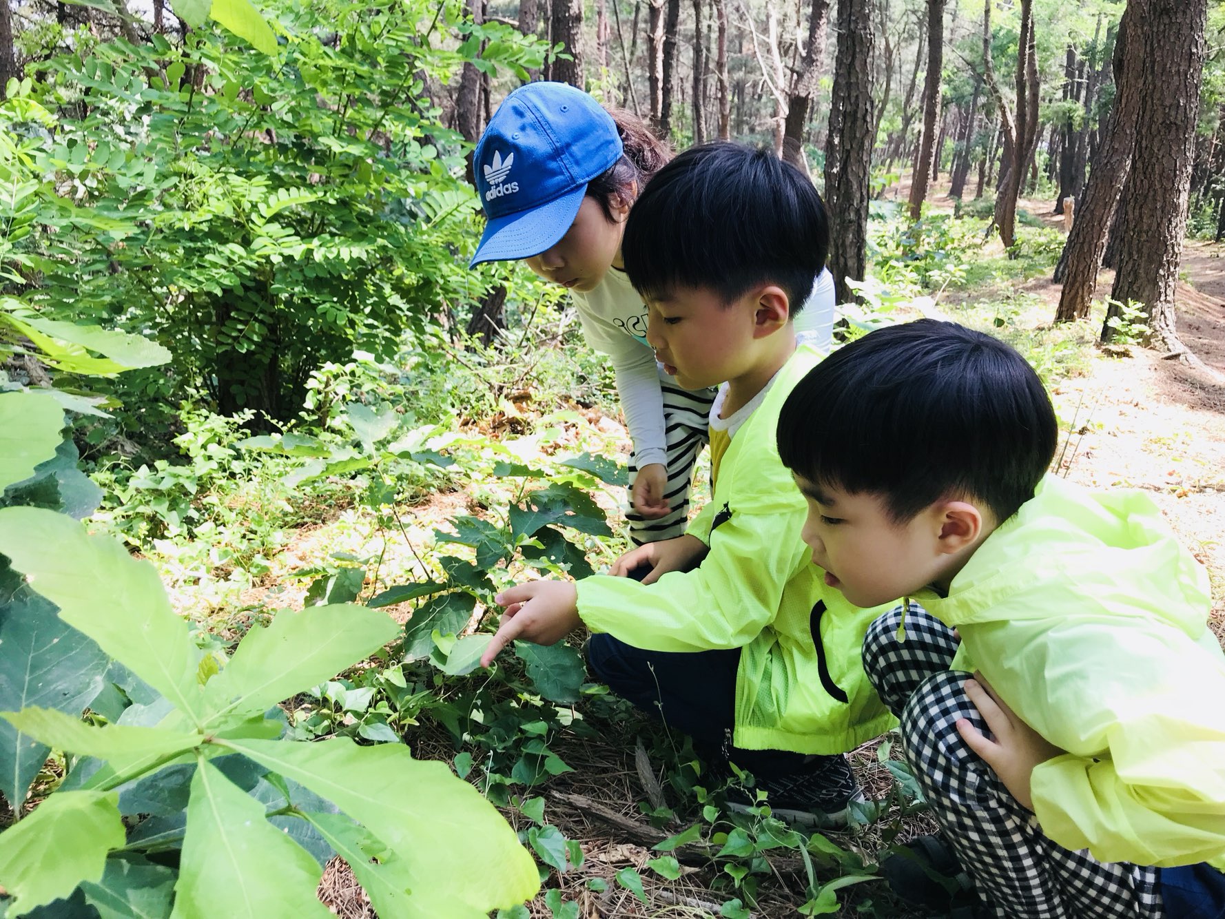 영덕국유림관리소, 산림교육 운영사업 착수보고회 개최 이미지1