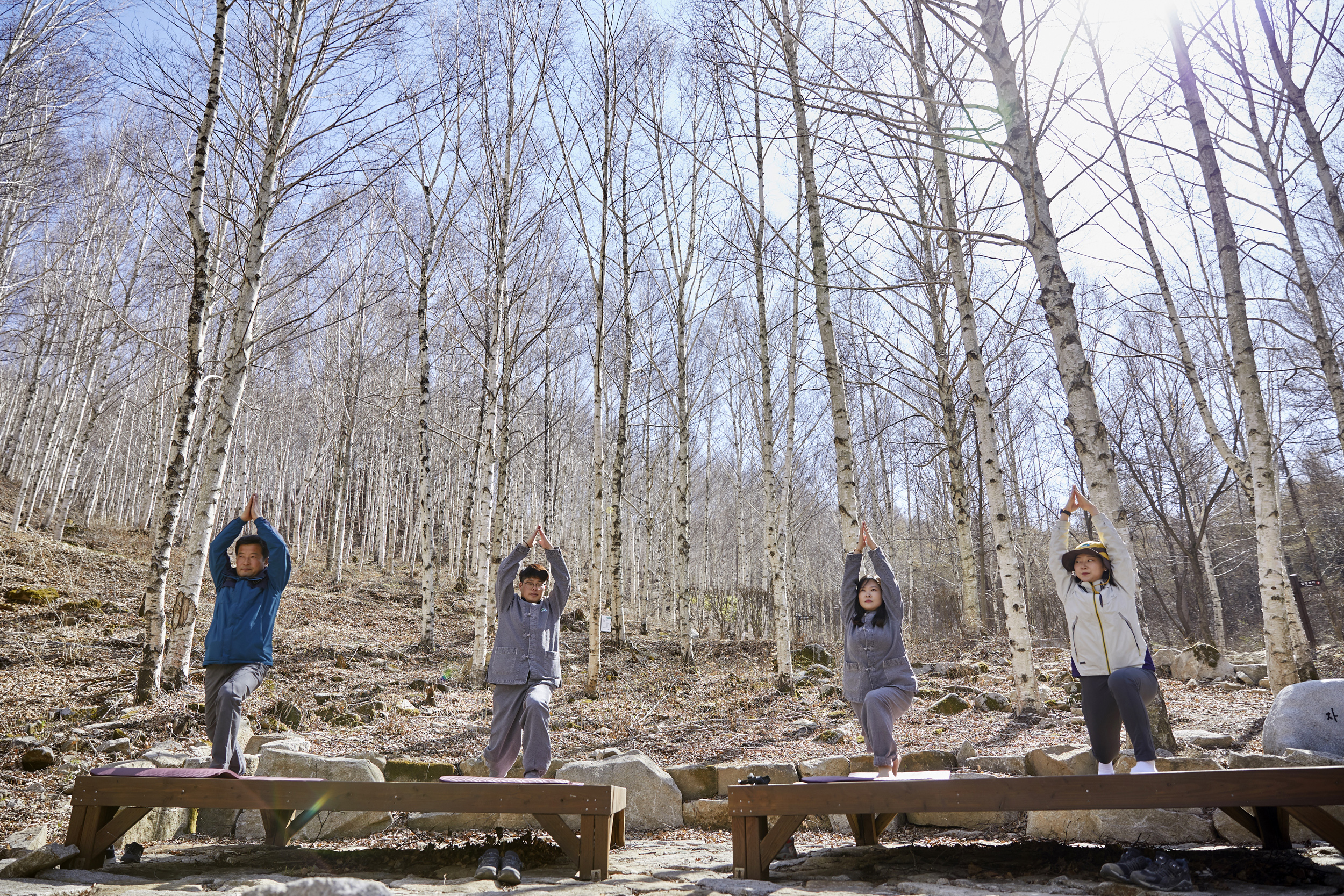8월의 국유림 명품숲에 ‘김천 수도산 치유의 숲’ 선정 이미지3