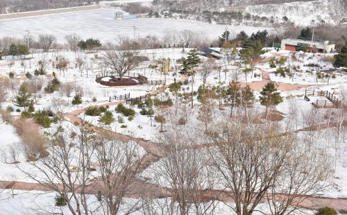 봄을 준비하는 우리나라 최북단 DMZ자생식물원