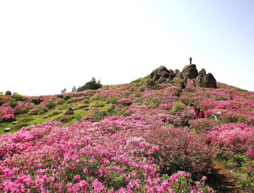 초암산