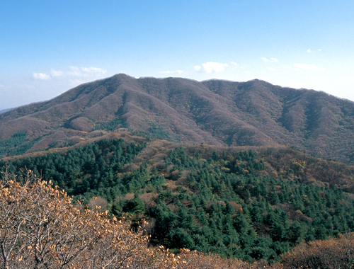 서리산