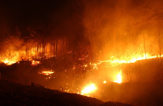 산림청, 빅데이터를 활용한 산불예측 정확도 개선 이미지1