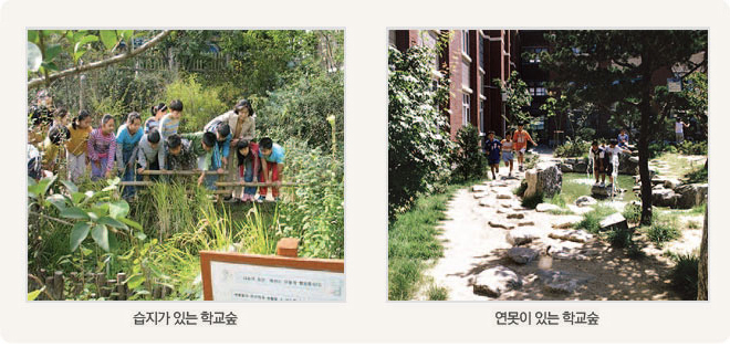 사진 설명 : 습지가 있는 학교숲(좌), 연못이 있는 학교숲(우)