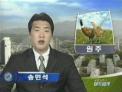 우리나무 바로 알기 운동‘활발’(KBS1-TV)