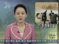 나무심어 황사 막는 한-몽골 행복의 숲(KBS1)