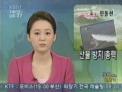 비무장지대 첫 산불 진화 훈련(KBS1-TV)