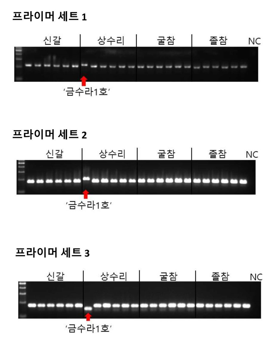 FileDown.do?atchFileId=FILE_000000020066020&amp;fileSn=2