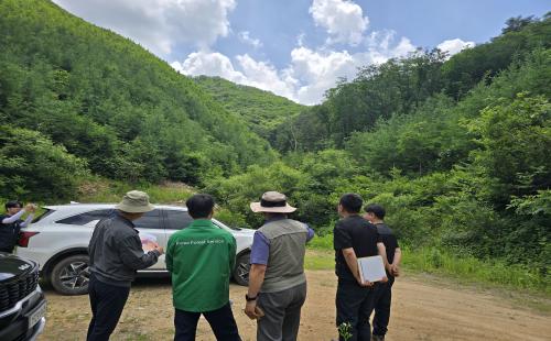 북부지방산림청, 인제 대형산불 피해지 복구 및 사후관리 실태 점검