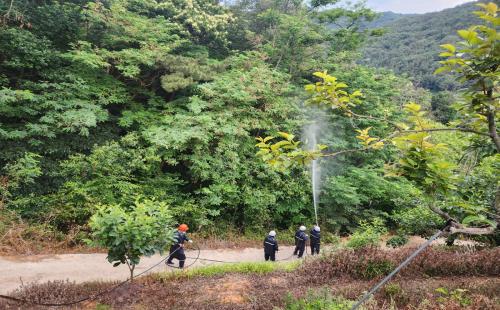 양산국유림관리소, 농경지와 산림 동시발생 돌발해충 협업방제 실시