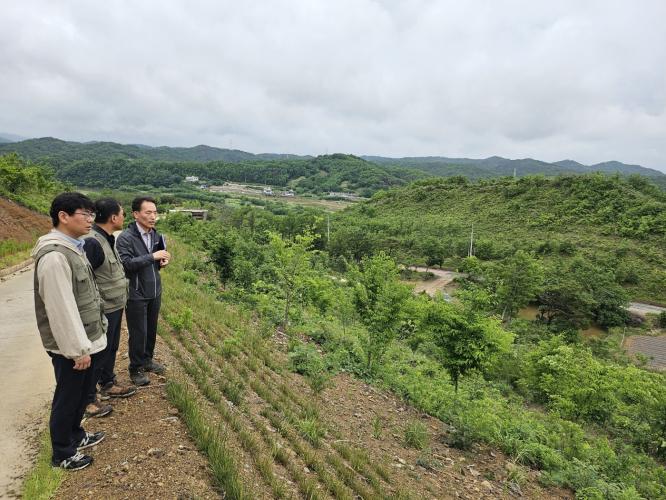 이상익 산림청 산림산업정책국장, “대형산불피해 조림복원 및 사후관리 등 현장점검”