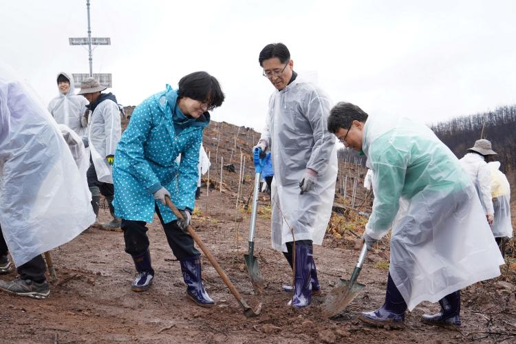박은식 산림청장