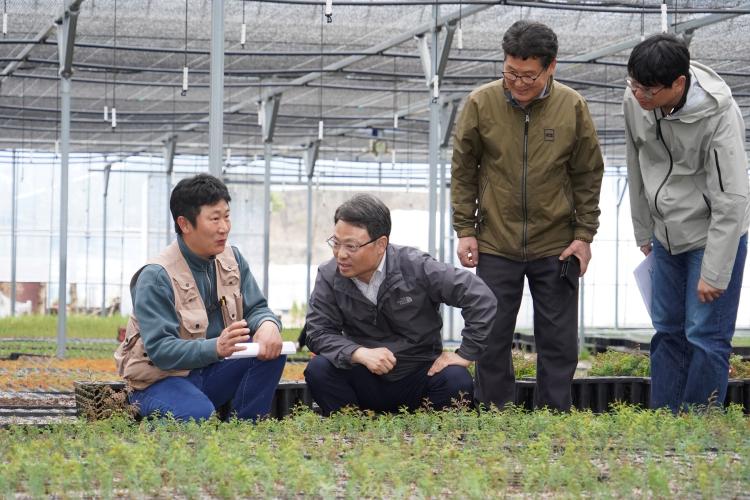 박은식 산림청장