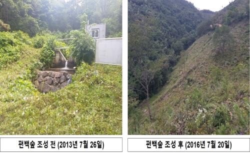 편백숲 조성하면 숲의 물은 변화한다 - 국립산림과학원, 신월 편백숲 조성...