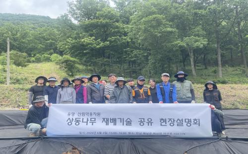 상동나무 최적 재배기술 공유, 현장형 재배기술 교육 확대 - 유망 산림약...
