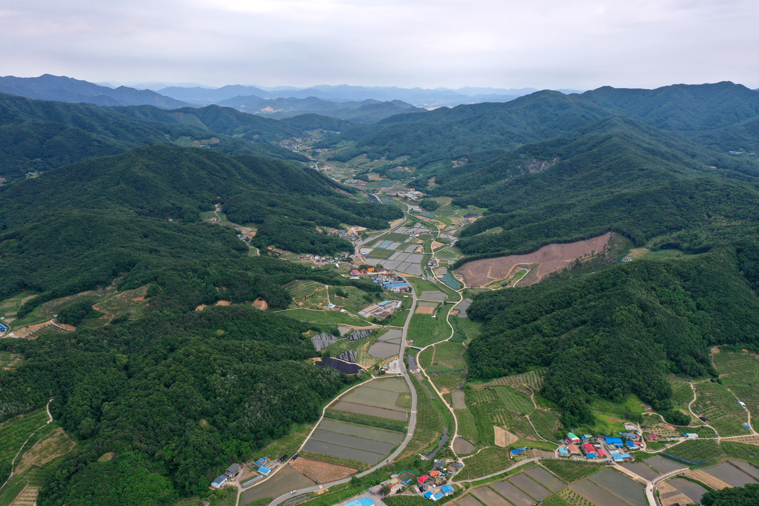 2022년 선도 산림경영단지 공모 결과 발표 이미지1