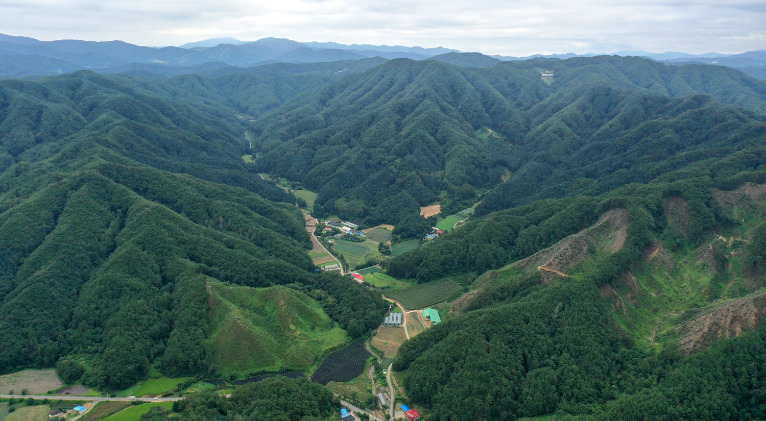 2022년 선도 산림경영단지 공모 결과 발표 이미지2