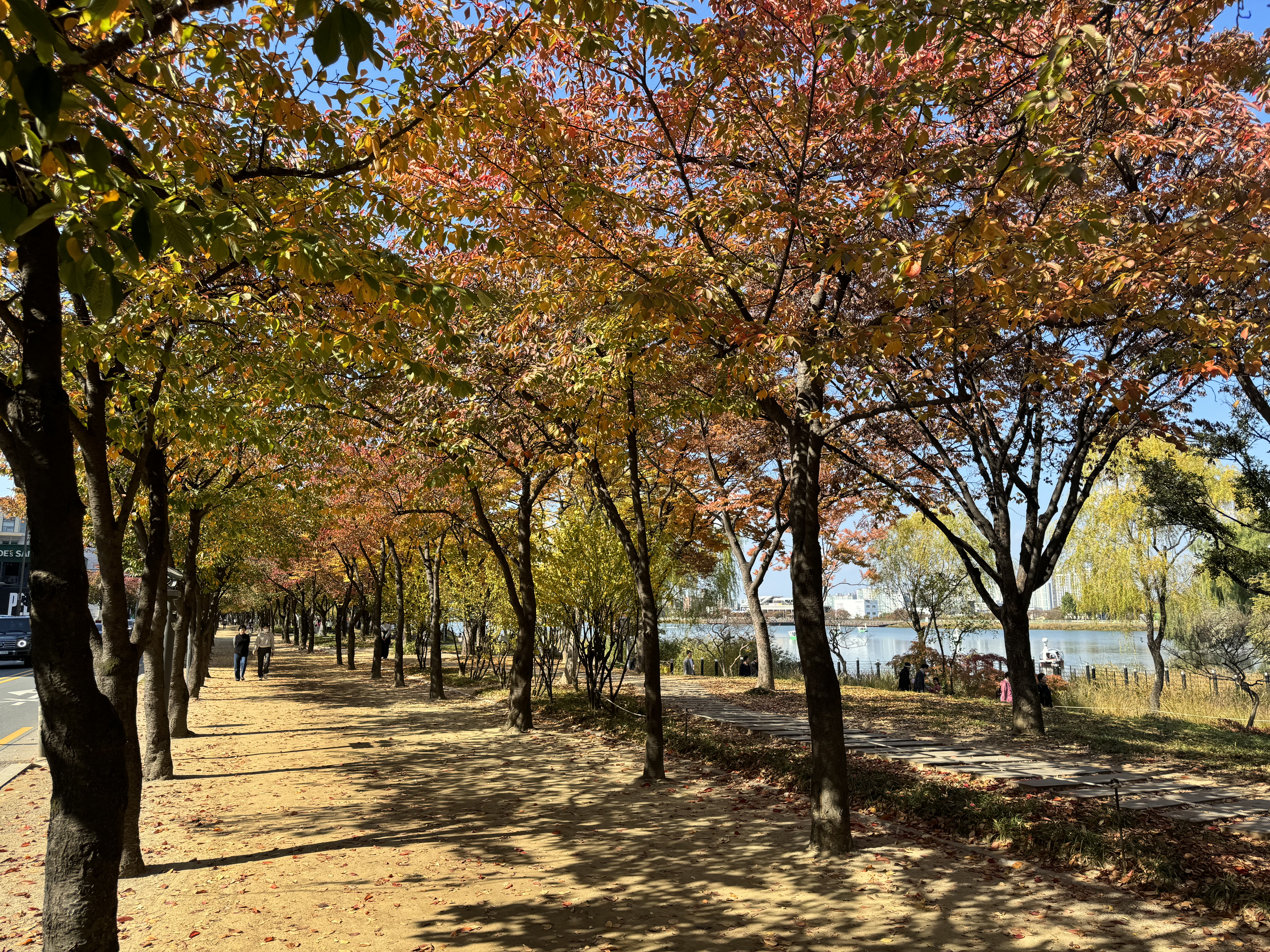 단풍 보러 아직도 멀리 가세요? 이미지3