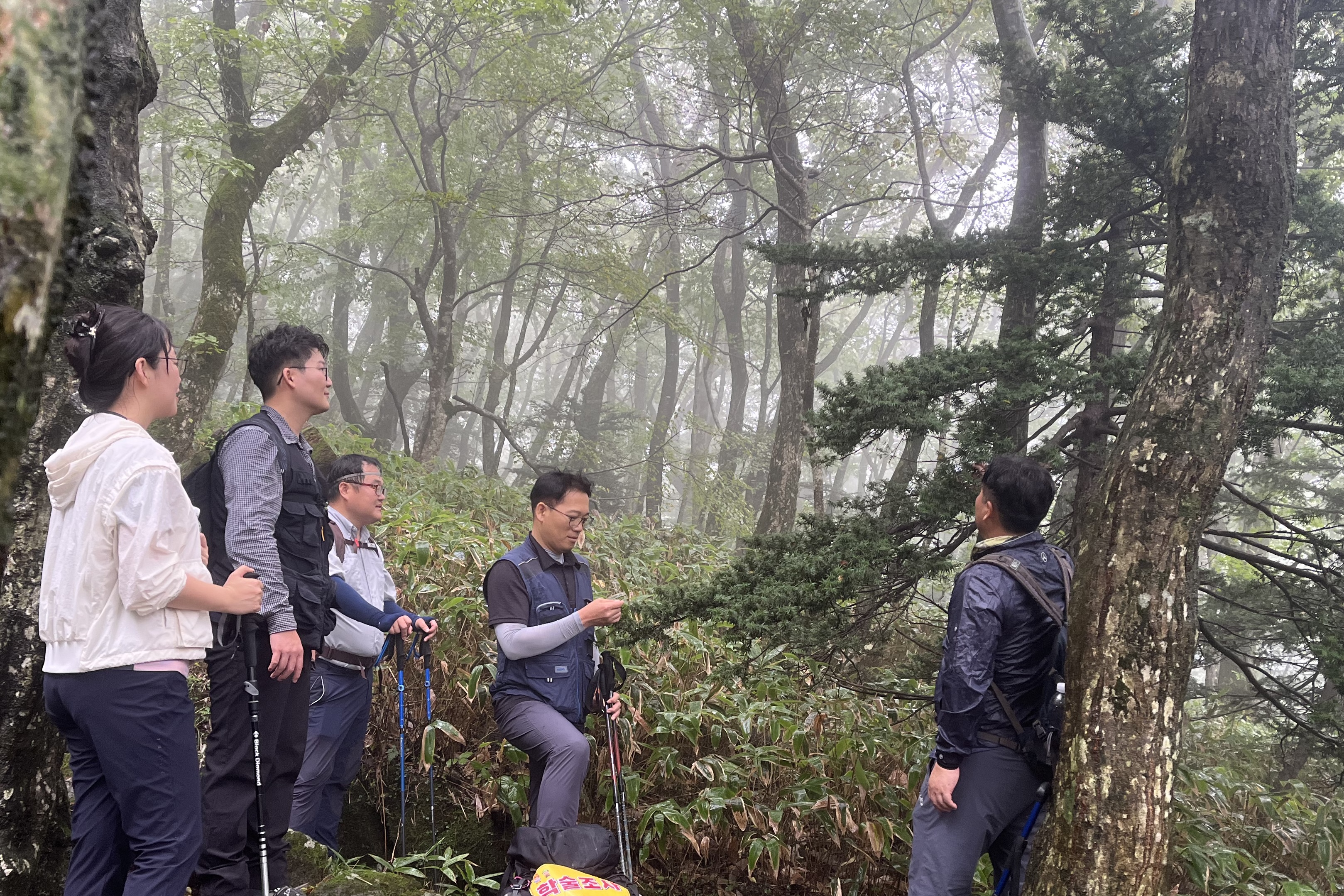 구상나무 등 멸종위기 고산 침엽수 보전·복원해 산림생태계 건강성 회복