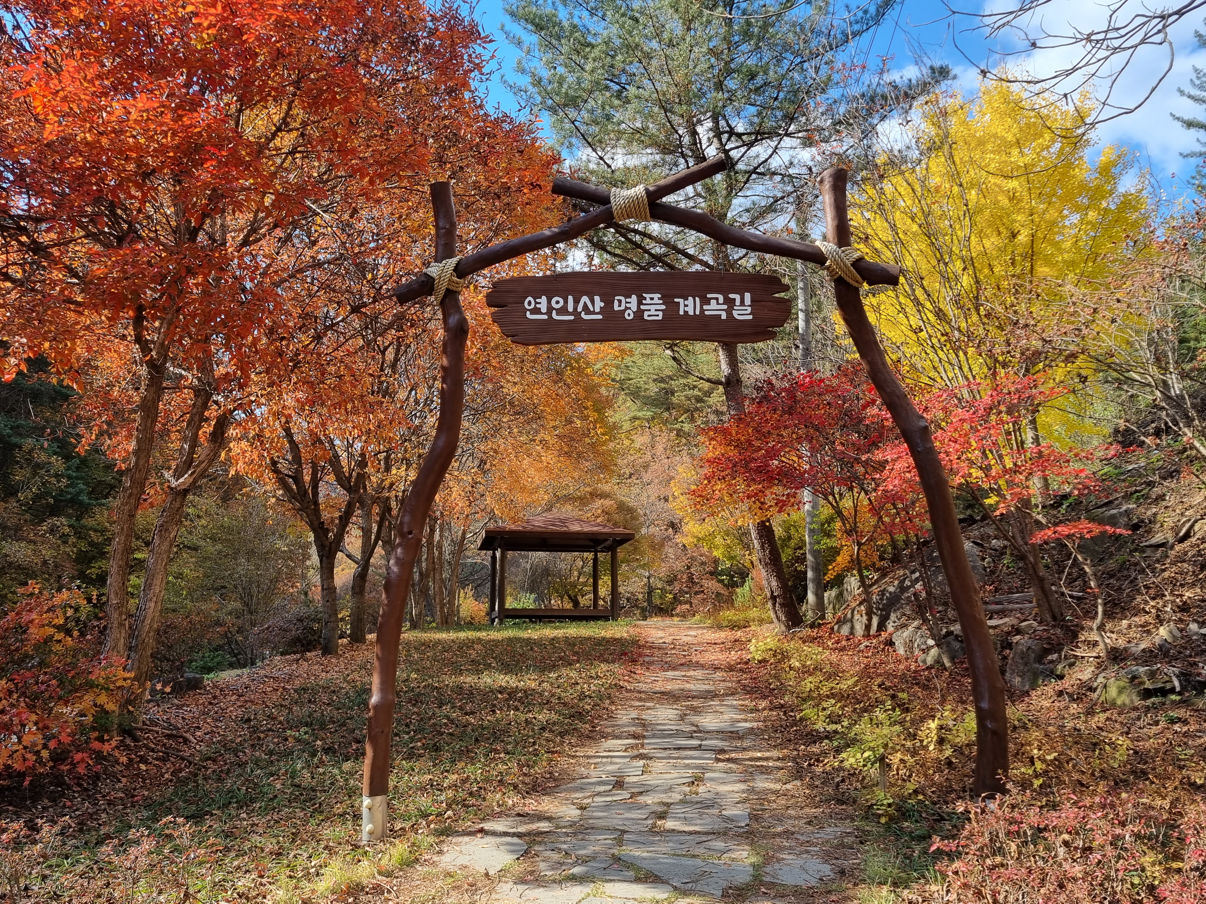 올 가을, 걷기 좋은 오색단풍 명품숲길 5곳 추천 이미지1