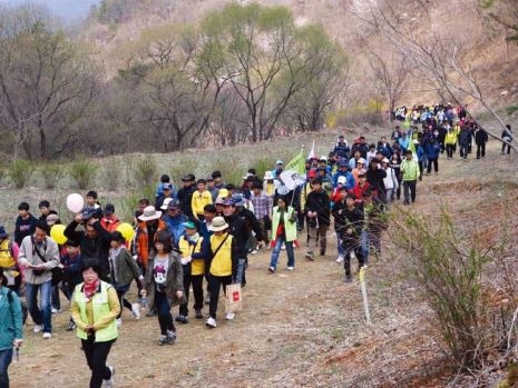 임도, 사람과 숲을 연결해... 지역소멸 위기 극복한다! 이미지2