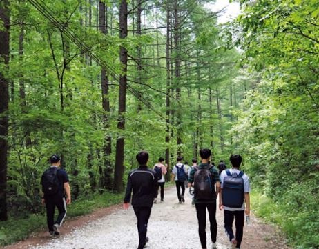 임도, 사람과 숲을 연결해... 지역소멸 위기 극복한다! 이미지4