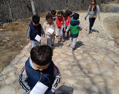 임도, 사람과 숲을 연결해... 지역소멸 위기 극복한다! 이미지5