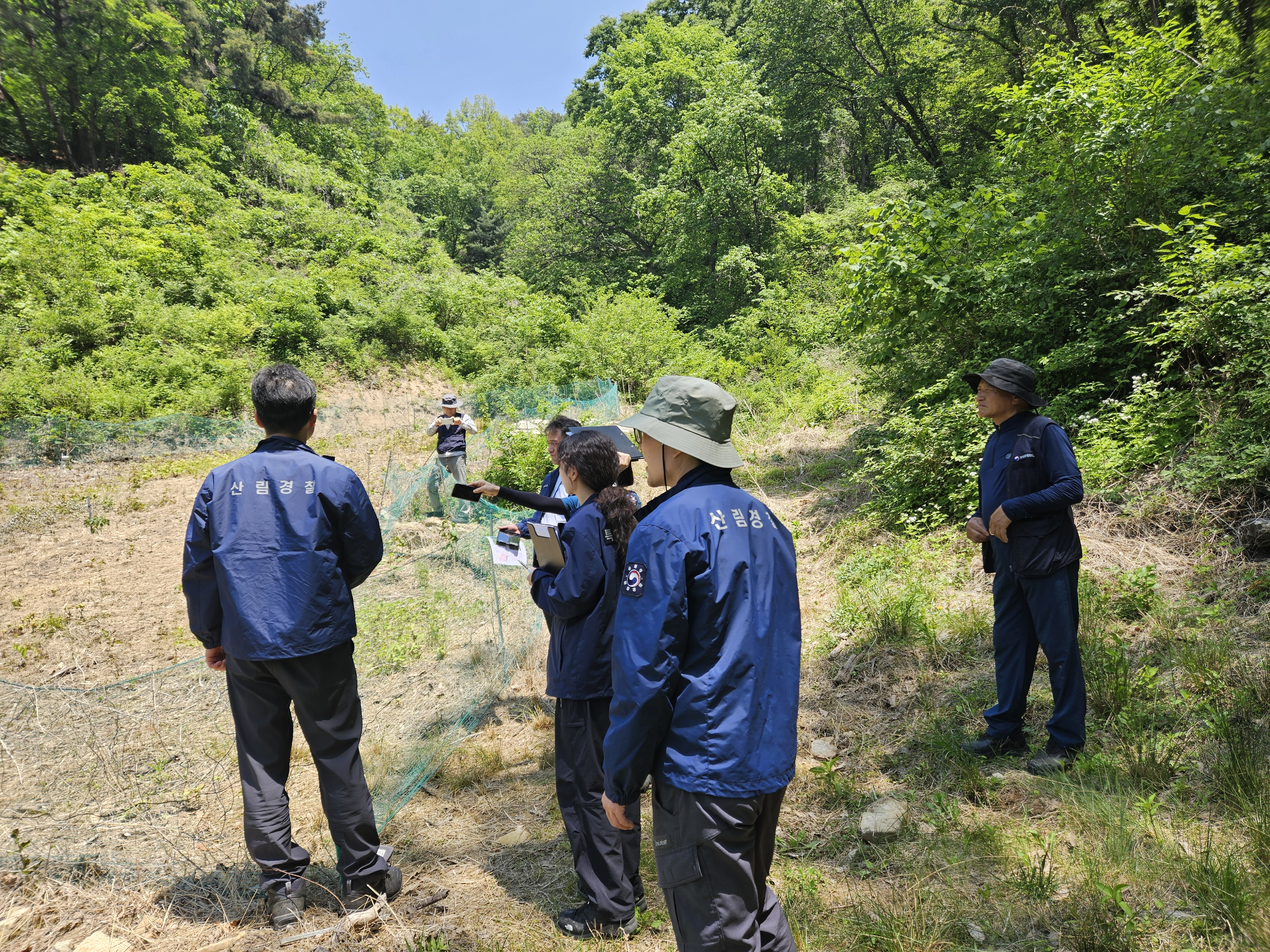 산림청, 산림생물다양성 보전을 위한  ‘산림 내 불법행위 집중단속’ 실시