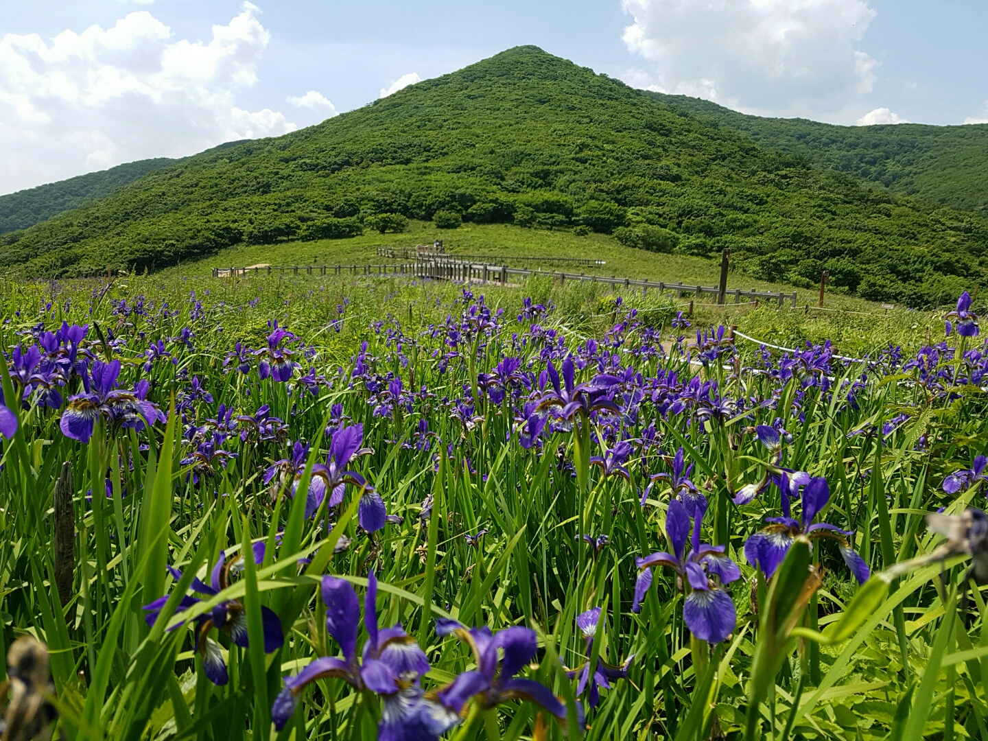 기후위기 시대, 산림분야 보호구역 확대 및 관리 강화